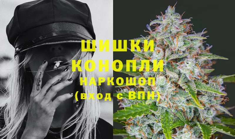 Конопля OG Kush  Балтийск 